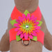 ISLAND FLOWER TINKIE DOG HARNESS - 12 COLORS, Harness - Bones Bizzness