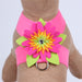 ISLAND FLOWER TINKIE DOG HARNESS - 12 COLORS, Harness - Bones Bizzness