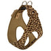 CHEETAH TINKIE'S GARDEN STEP-IN DOG HARNESS, Harness - Bones Bizzness