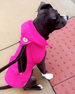 HOT PINK CRAB PACKAWAY DOG RAINCOAT, Coats - Bones Bizzness