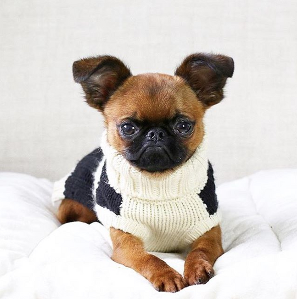 FISHERMAN DOG SWEATER, Sweaters - Bones Bizzness