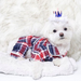 BLUE PLAID DOG PAJAMAS, PAJAMAS - Bones Bizzness