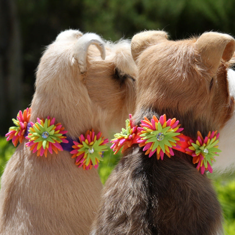 SEA URCHIN DOG COLLAR (53 COLORS), Collars - Bones Bizzness