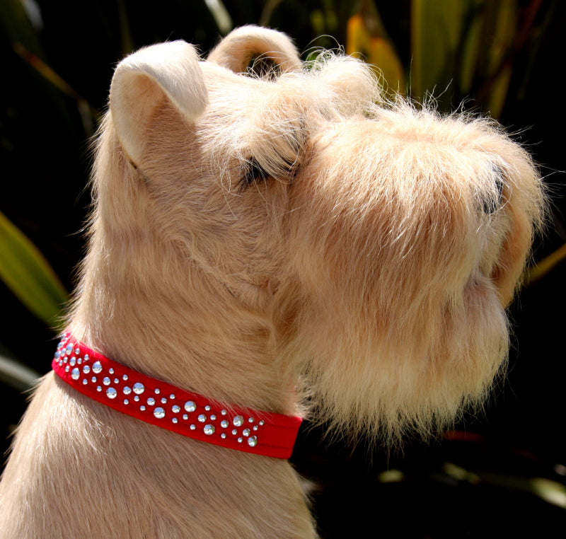 SILVER LA COSTA BUBBLES ULTRASUEDE DOG COLLARS - (42 COLORS), Collars - Bones Bizzness