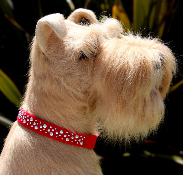 SILVER LA COSTA BUBBLES ULTRASUEDE DOG COLLARS - (42 COLORS), Collars - Bones Bizzness