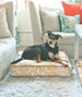 YELLOW TRADITIONS BLUE DOG BED, Beds - Bones Bizzness