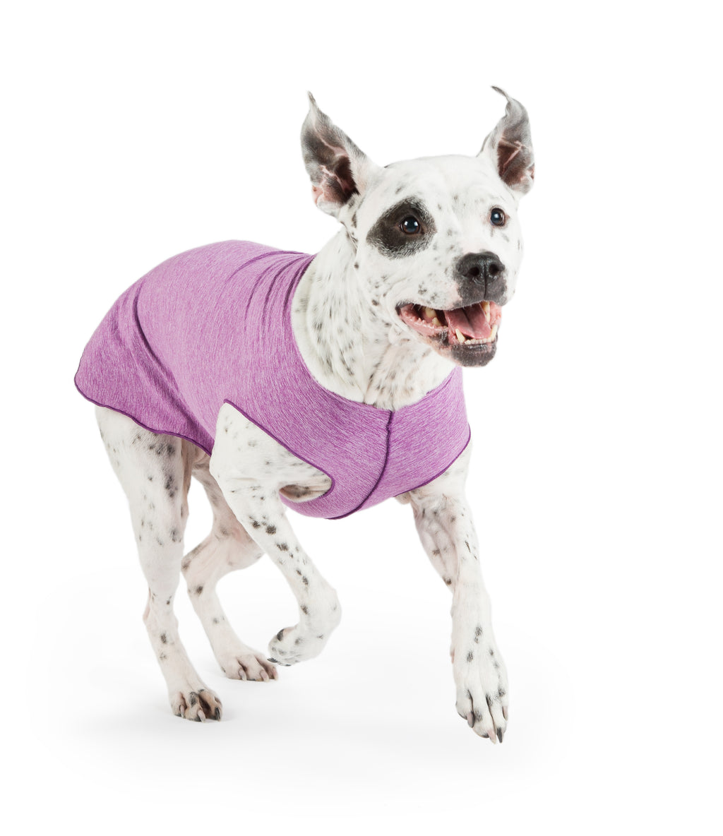 VIOLET HEATHER SUN SHIELD DOG TEE, Sweaters - Bones Bizzness