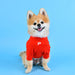 KELBY DOG TEE SHIRT - RED