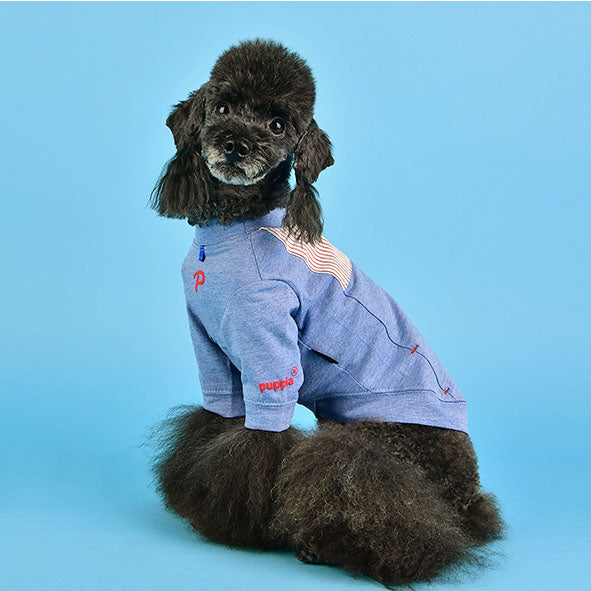 KELBY DOG TEE SHIRT - BLUE