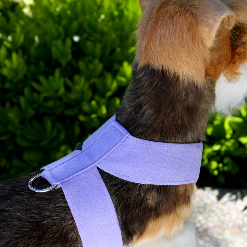 PLAIN ULTRASUEDE TINKIE DOG HARNESS - 42 COLORS, Harness - Bones Bizzness