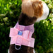 BIG BOW TINKIE DOG HARNESS (53 COLORS), Harness - Bones Bizzness