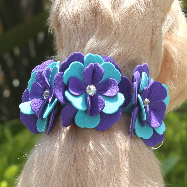 VIOLET DOG COLLAR BY SUSAN LANCI 1/2", Collars - Bones Bizzness