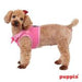 VIVIEN PUPPIA MESH VEST HARNESS B, Harness - Bones Bizzness