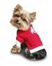 OHIO STATE DOG SWEATER, NCAA - Bones Bizzness