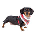 RUDOLPH PUPPIA DOG HARNESS A, Harness - Bones Bizzness