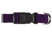 SUSAN LANCI QUICK RELEASE ULTRASUEDE DOG COLLARS - (42 COLORS), Collars - Bones Bizzness