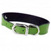 AFTER EIGHT LIME GREEN DOG COLLAR