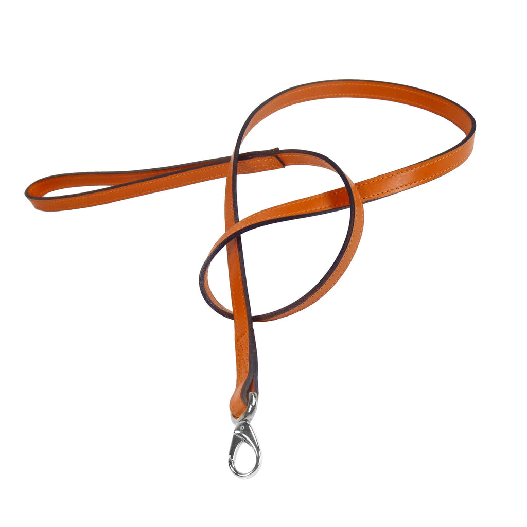 AFTER EIGHT TANGERINE DOG LEAD, Collars - Bones Bizzness