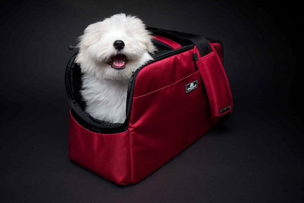 SLEEPYPOD DOG ATOM - STRAWBERRY RED, Carriers - Bones Bizzness