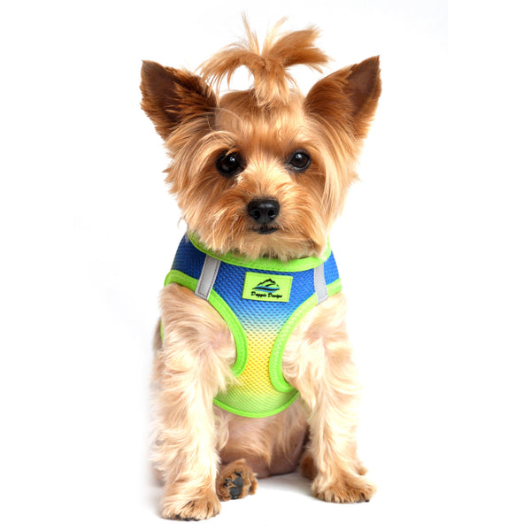 COBALT SPORT AMERICAN RIVER CHOKE FREE DOG HARNESS OMBRE COLLECTION, Harness - Bones Bizzness