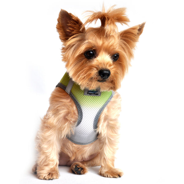 LIMESTONE GREY AMERICAN RIVER CHOKE FREE DOG HARNESS OMBRE COLLECTION, Harness - Bones Bizzness