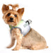 LIMESTONE GREY AMERICAN RIVER CHOKE FREE DOG HARNESS OMBRE COLLECTION, Harness - Bones Bizzness