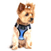 MIDNIGHT SKY AMERICAN RIVER CHOKE FREE DOG HARNESS OMBRE COLLECTION, Harness - Bones Bizzness