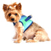 NORTHERN LIGHTS AMERICAN RIVER CHOKE FREE DOG HARNESS OMBRE COLLECTION, Harness - Bones Bizzness