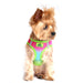 RAINBLOW AMERICAN RIVER CHOKE FREE DOG HARNESS OMBRE COLLECTION, Harness - Bones Bizzness