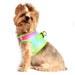 RAINBLOW AMERICAN RIVER CHOKE FREE DOG HARNESS OMBRE COLLECTION, Harness - Bones Bizzness