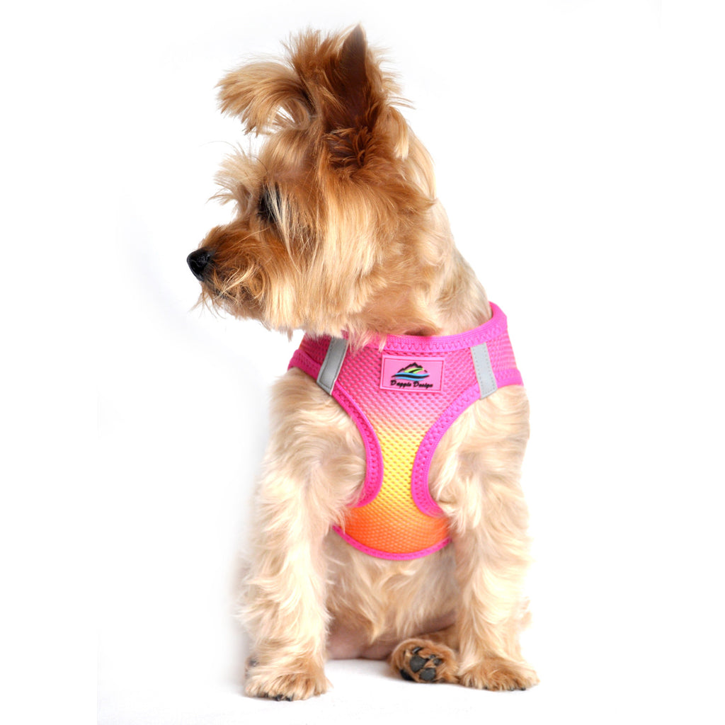 RASPBERRY & ORANGE AMERICAN RIVER CHOKE FREE DOG HARNESS OMBRE COLLECTION, Harness - Bones Bizzness