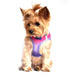 AMERICAN RIVER CHOKE FREE DOG HARNESS OMBRE COLLECTION - RASPBERRY SUNDAE, Harness - Bones Bizzness