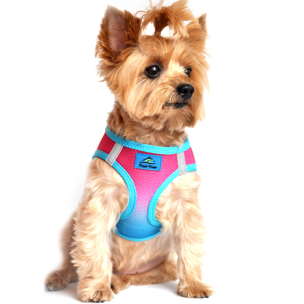 SUGAR PLUM AMERICAN RIVER CHOKE FREE DOG HARNESS OMBRE COLLECTION, Harness - Bones Bizzness