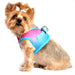 SUGAR PLUM AMERICAN RIVER CHOKE FREE DOG HARNESS OMBRE COLLECTION, Harness - Bones Bizzness