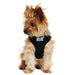 WRAP AND SNAP CHOKE FREE DOG HARNESS - BLACK, Harness - Bones Bizzness