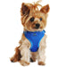 WRAP AND SNAP CHOKE FREE DOG HARNESS - COBALT BLUE, Harness - Bones Bizzness