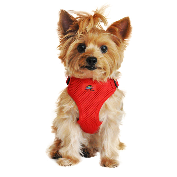 WRAP AND SNAP CHOKE FREE DOG HARNESS - FLAME RED, Harness - Bones Bizzness