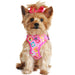 WRAP AND SNAP CHOKE FREE DOG HARNESS - MAUI PINK, Harness - Bones Bizzness