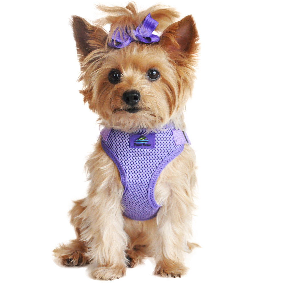 WRAP AND SNAP CHOKE FREE DOG HARNESS - PURPLE, Harness - Bones Bizzness