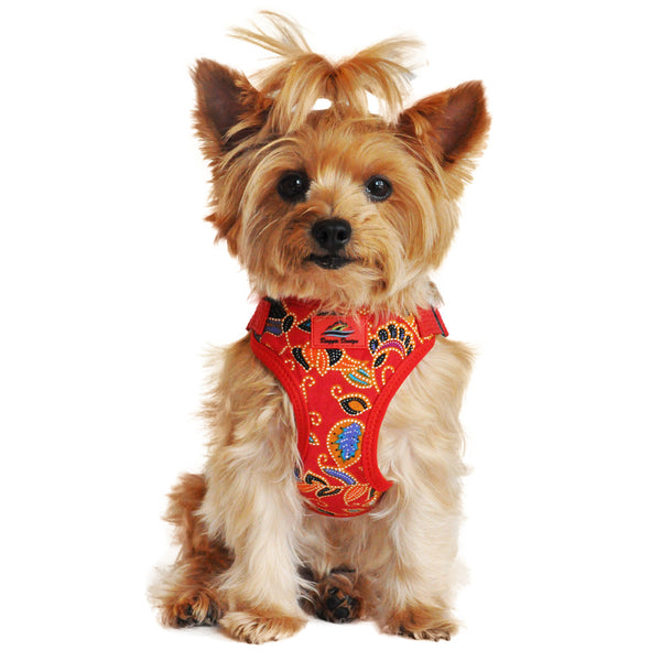 WRAP AND SNAP CHOKE FREE DOG HARNESS - TAHITI RED, Harness - Bones Bizzness