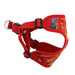 WRAP AND SNAP CHOKE FREE DOG HARNESS - TAHITI RED, Harness - Bones Bizzness