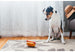 AMERICAN CLASSIC TOY SET, Toys - Bones Bizzness