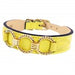 ATHENA IN CANARY YELLOW & GOLD DOG COLLAR, Collars - Bones Bizzness