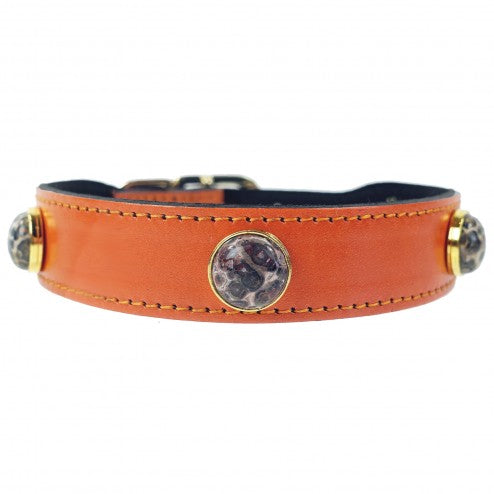 AU NATURALE IN TANGERINE DOG COLLAR