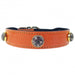 AU NATURALE IN TANGERINE DOG COLLAR