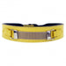 BARCLAYS IN CANARY YELLOW DOG COLLAR