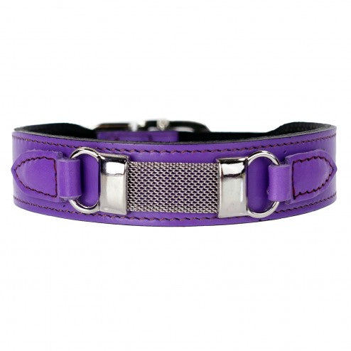 BARCLAYS IN LAVENDER DOG COLLAR