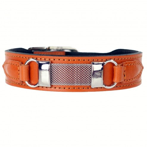 BARCLAYS IN TANGERINE DOG COLLAR