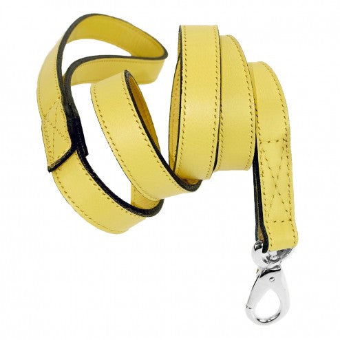 BARCLAY IN CANARY DOG LEAD