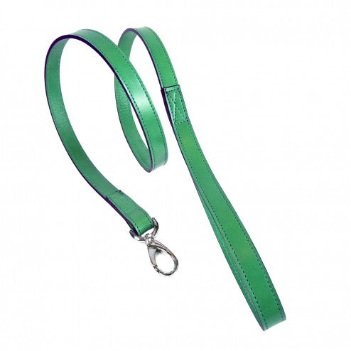 BARCLAY IN KELLY GREEN DOG LEAD